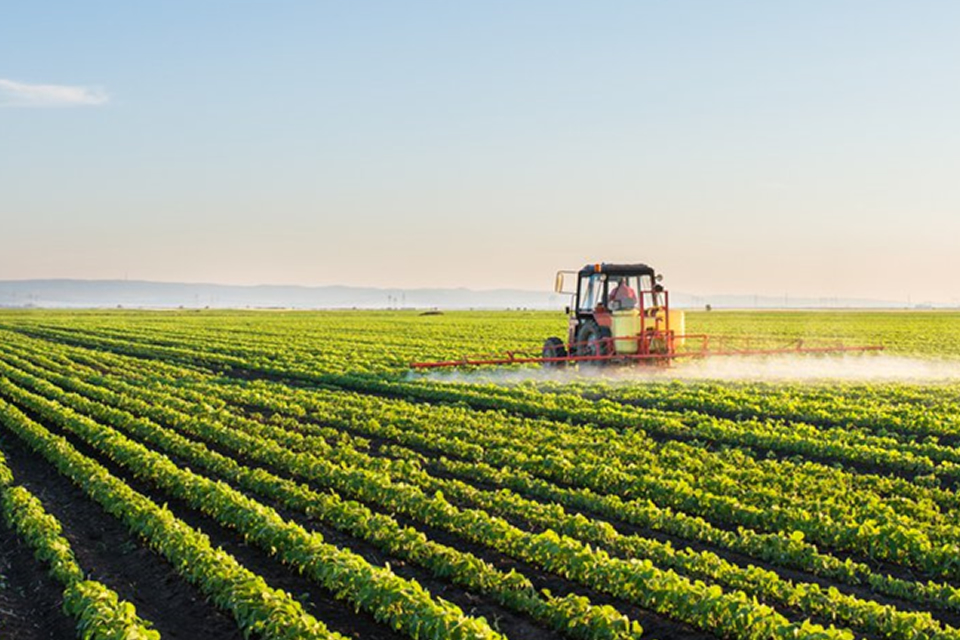 AGROPECUÁRIA É O SETOR QUE MAIS USA CERTIFICADO DIGITAL NO BRASIL